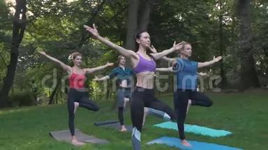 公园里的<strong>瑜伽</strong>或普拉提，一群不同年龄的妇女在早上站着做不同的姿势。团队<strong>合作</strong>，运动
